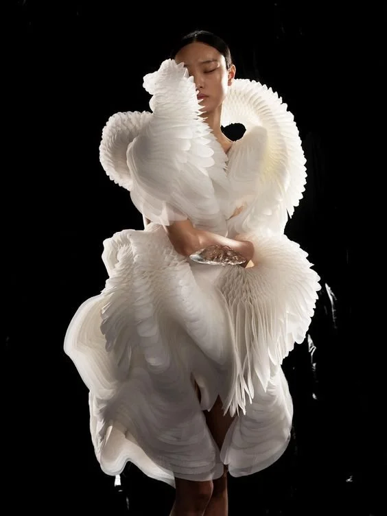 “SCULPTING THE SENSES” IRIS VAN HERPEN