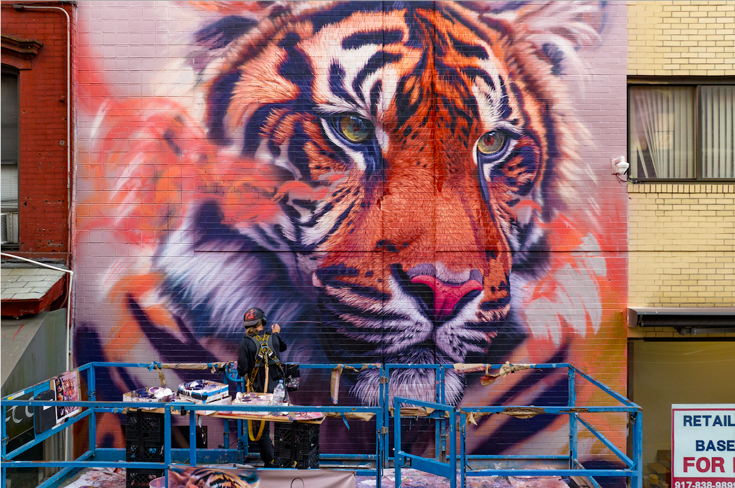 “BEYOND BORDERS: THE BEAUTY AND PERIL OF THE TIGER” SONNY BEHAN
